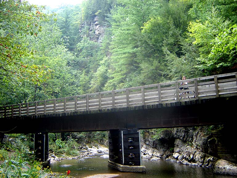 Virginia Creeper Trail Bike Rentals and Bike Trail Shuttle Service Whitetop Abingdon Damascus